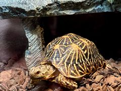 -上海海洋水族馆