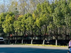 -合肥滨湖国家森林公园