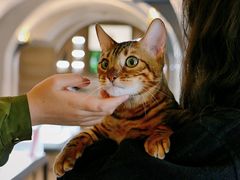 -Me Coffee下午茶艺术空间