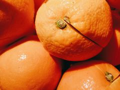 -醉得意·山茶油炒土鸡(莆田仙游方圆荟店)