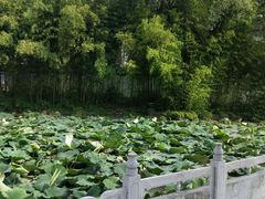 -清晏园