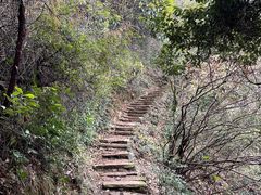 -杭州半山国家森林公园