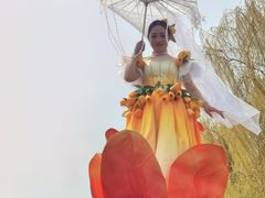 -荷兰花海