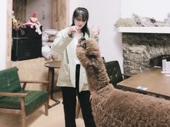 -猫色咖啡·猫咖