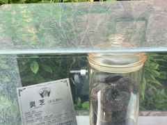 -广州神农草堂中医药博物馆