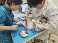 -美迦爱-牙专科·兔科·骨科诊疗中心(北苑店)