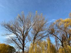 -晋祠公园