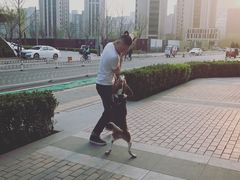 -菠萝格斗巴西柔术训练馆