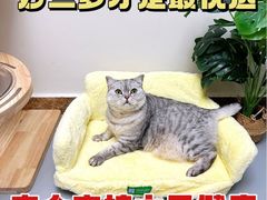 -爱佳宠物中心医院24H·CT·骨外科·猫专科(瑶海万达店)