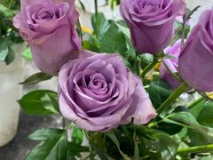 -循礼门鲜花花市(武汉循礼门店)