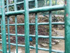-二龙喉公园