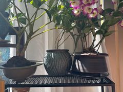 -街角 T·COFFEE 融合料理·BISTRO(车公庙店)