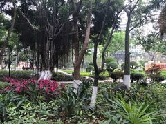 -江头公园