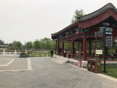 -西海子公园