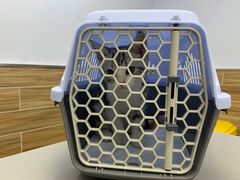 -爱侣宠医·鹦鹉专科·小型哺乳类·异宠专科(灵石路店)