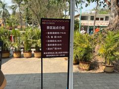 -西双版纳傣族园