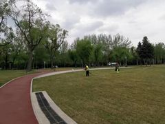 -哈尔滨文化公园
