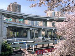-南浦大桥长途旅游客运站