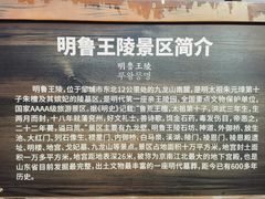 -明鲁王陵
