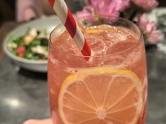 -Apollo·西班牙小酒馆(安福路店)