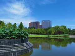 -大望京公园