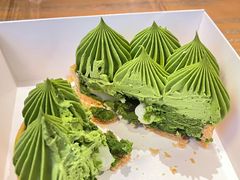 -猫里有甜
