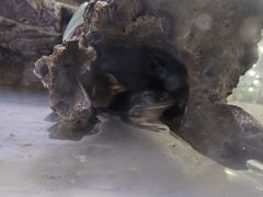 -上海昆虫博物馆