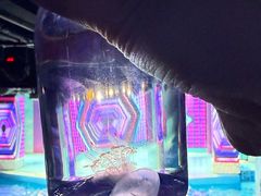 -哈尔滨极地公园