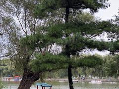 -北陵公园