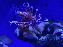 -北海·海洋之窗