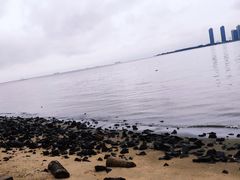 -万绿园