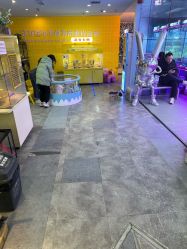 -神奇动物撸宠馆·羊驼·小浣熊·异宠(豫园店)