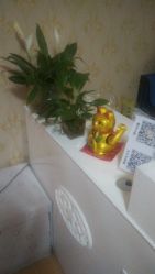 点击看大图 -本真坊美容美体沙龙