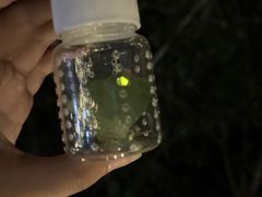 -梅州雁山湖国际花园度假区