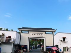 -陶辛水韵