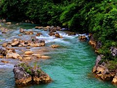 -黄金寨原生态旅游区