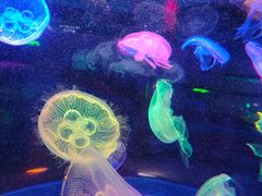 -太平洋海底世界