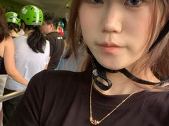 -圣淘沙天际线斜坡滑车