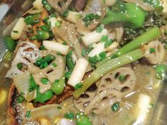 清江鱼-渝蛙馆(新百店)