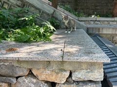 -四门塔风景区