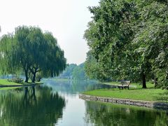 -上海共青森林公园