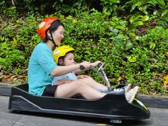 -圣淘沙天际线斜坡滑车