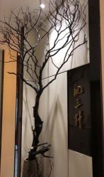 -肥三针腧穴瘦身馆