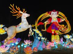 -武汉园博园(武汉自然博物馆)