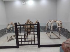 -游龙石文化科普馆