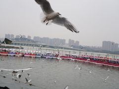 -蠡湖大桥公园