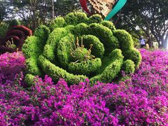 -广州雕塑公园