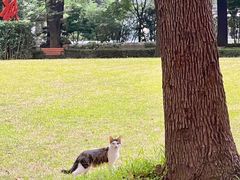 -上海交通大学医学院附属瑞金医院(总院)