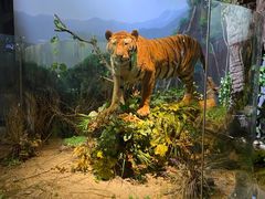 -陕西自然博物馆