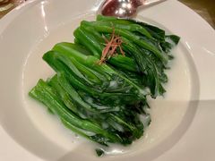 米汤菜心-8餐厅(新葡京酒店)